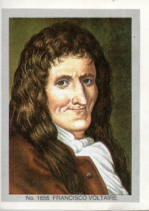 Biografia Francisco Voltaire